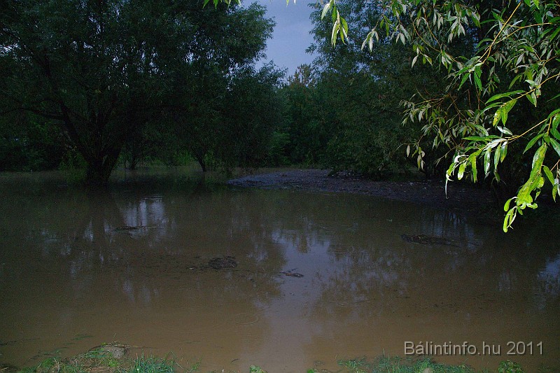 vihar_2011_julius_085.jpg