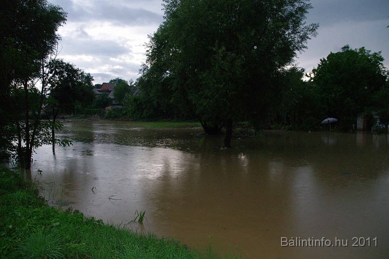 vihar_2011_julius_086.jpg