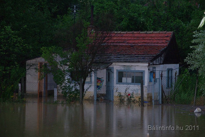vihar_2011_julius_087.jpg