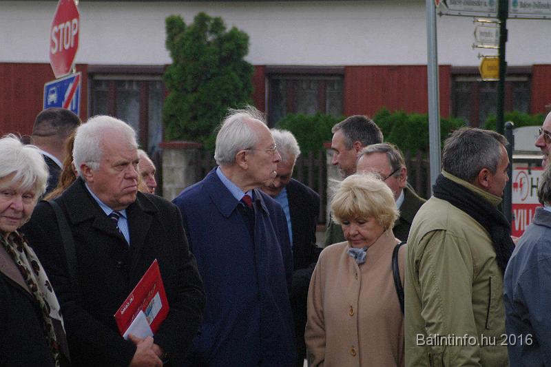 torokbalint_testvervarosok_tere_avatas_2016_006.jpg