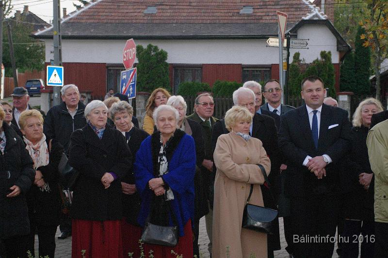 torokbalint_testvervarosok_tere_avatas_2016_034.jpg