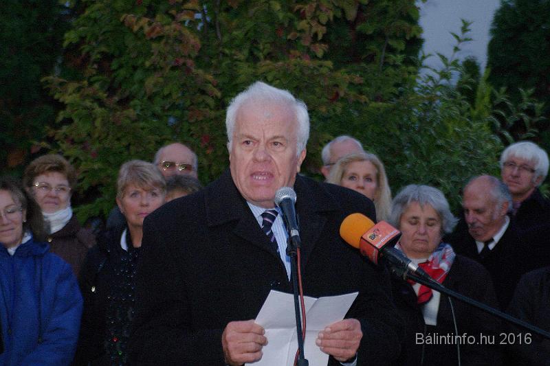 torokbalint_testvervarosok_tere_avatas_2016_042.jpg