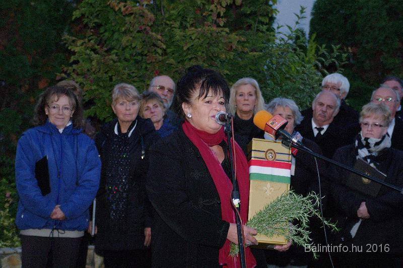 torokbalint_testvervarosok_tere_avatas_2016_044.jpg