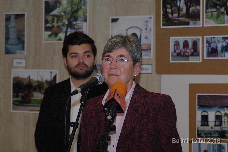 torokbalint_testvervarosok_tere_avatas_2016_065.jpg