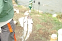 verseny_szept_2009_032