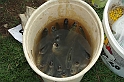 verseny_szept_2009_038