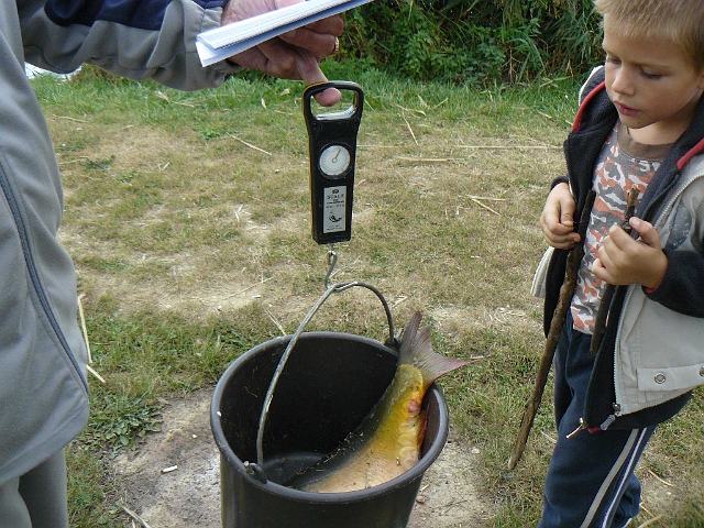 horg.verseny_25_eves_022.jpg