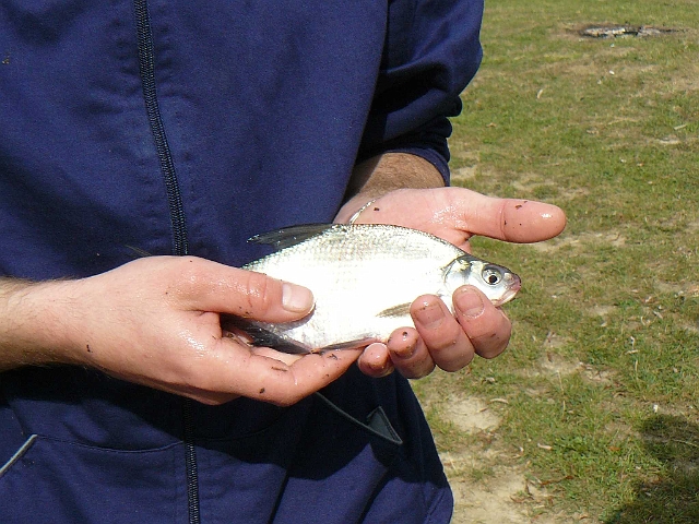 horg.verseny_25_eves_033.jpg