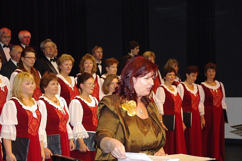 korustalalkozo_2008_003.jpg