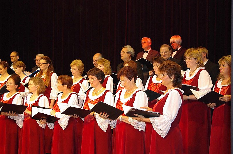 korustalalkozo_2008_010.jpg