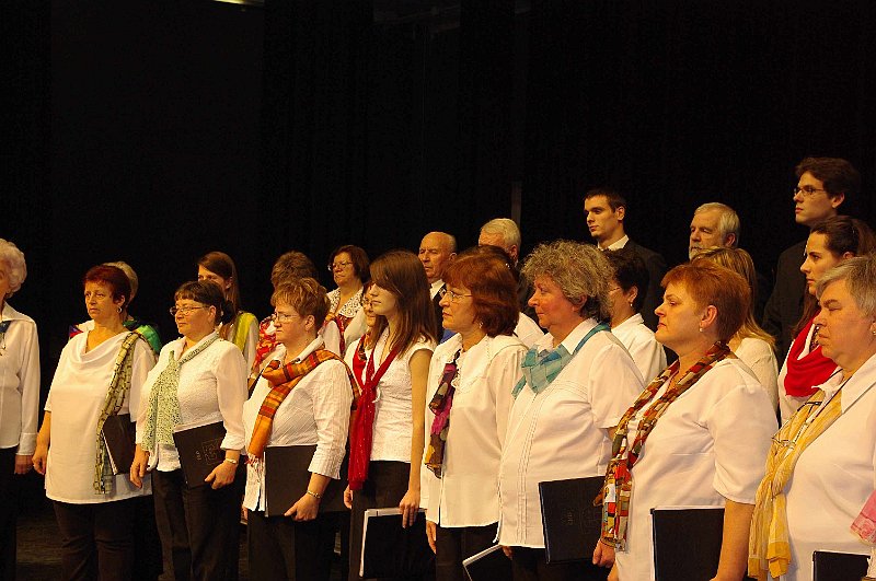 korustalalkozo_2008_041.jpg