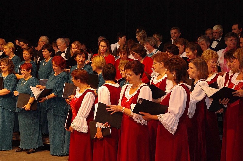korustalalkozo_2008_058.jpg