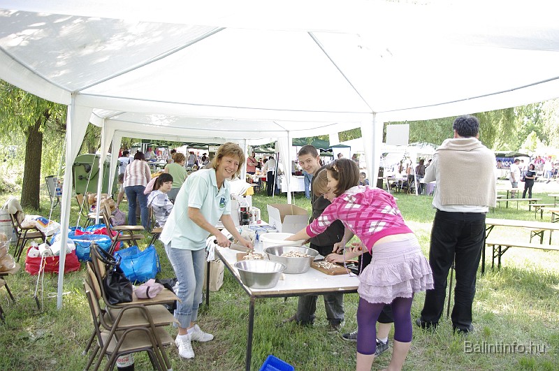 varosi_majalis_2009_0007.jpg