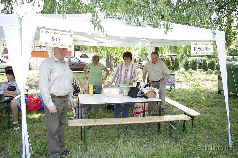 varosi_majalis_2009_0009.jpg