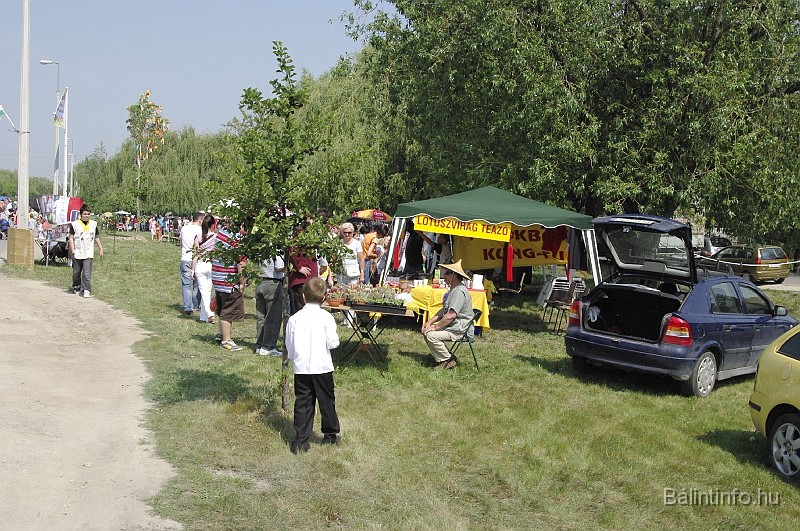 varosi_majalis_2009_0025.jpg