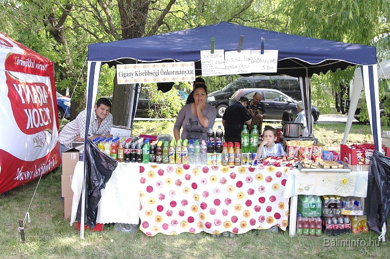 varosi_majalis_2009_0033.jpg
