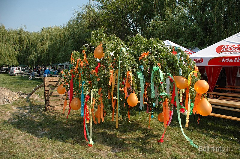 varosi_majalis_2009_0001.jpg
