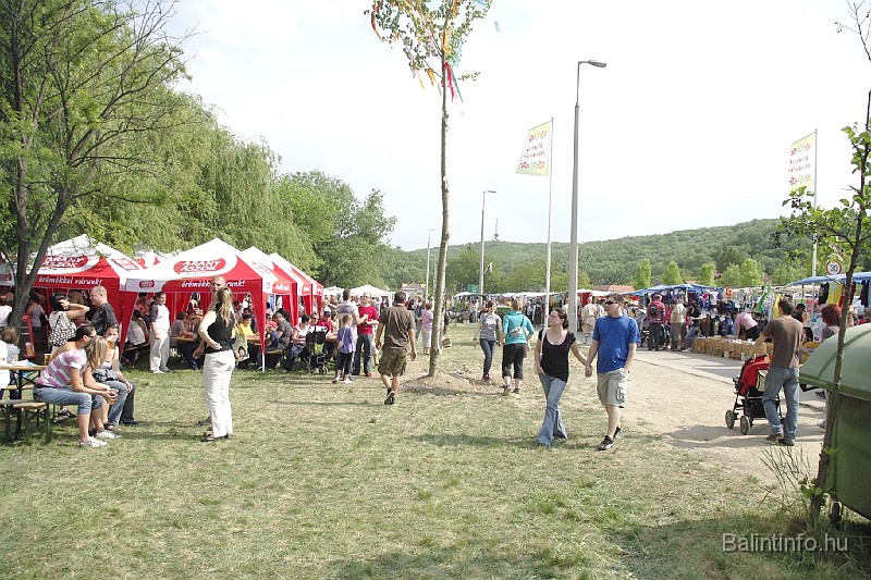 varosi_majalis_2009_0087.jpg