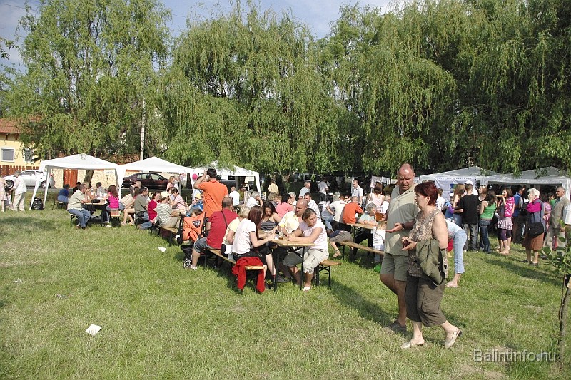 varosi_majalis_2009_0090.jpg