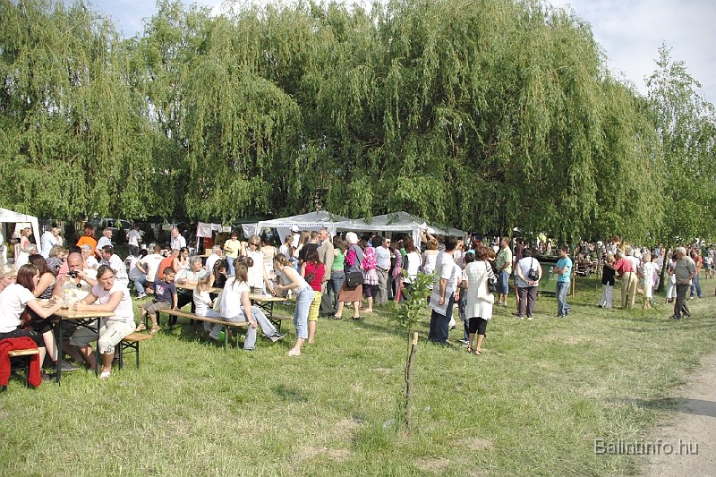 varosi_majalis_2009_0091.jpg