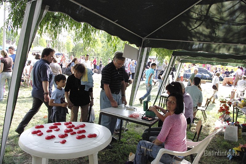 varosi_majalis_2009_0094.jpg