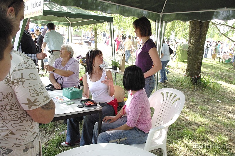 varosi_majalis_2009_0095.jpg