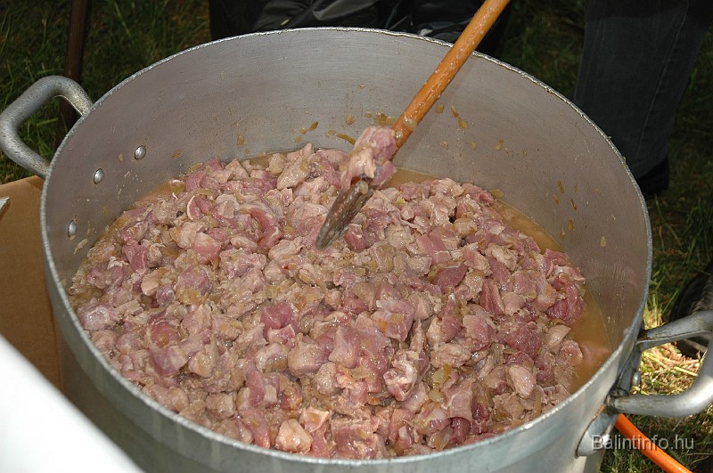 varosi_majalis_2009_0151.jpg