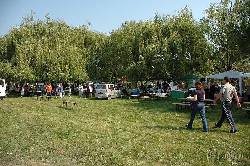 varosi_majalis_2009_0169.jpg