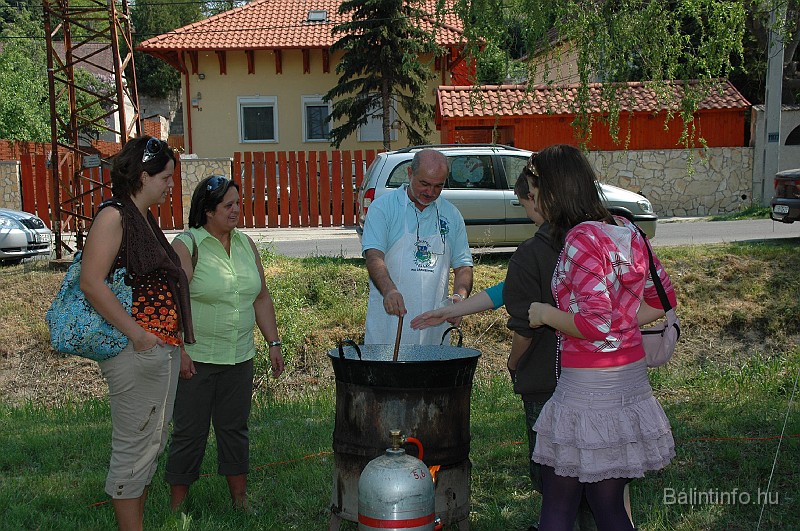 varosi_majalis_2009_0221.jpg