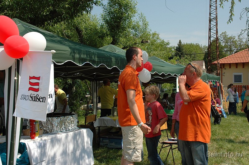 varosi_majalis_2009_0233.jpg