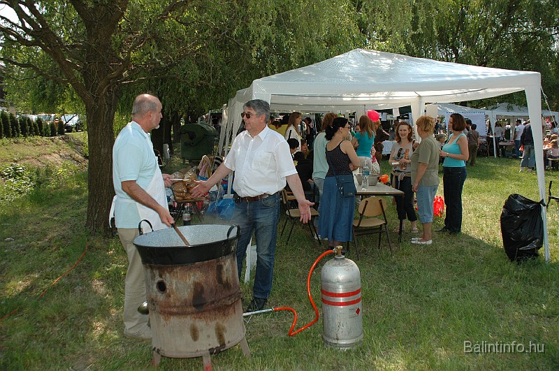varosi_majalis_2009_0235.jpg
