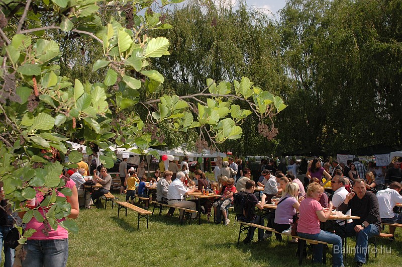 varosi_majalis_2009_0241.jpg