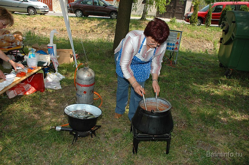 varosi_majalis_2009_0252.jpg