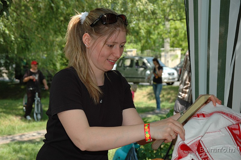varosi_majalis_2009_0259.jpg