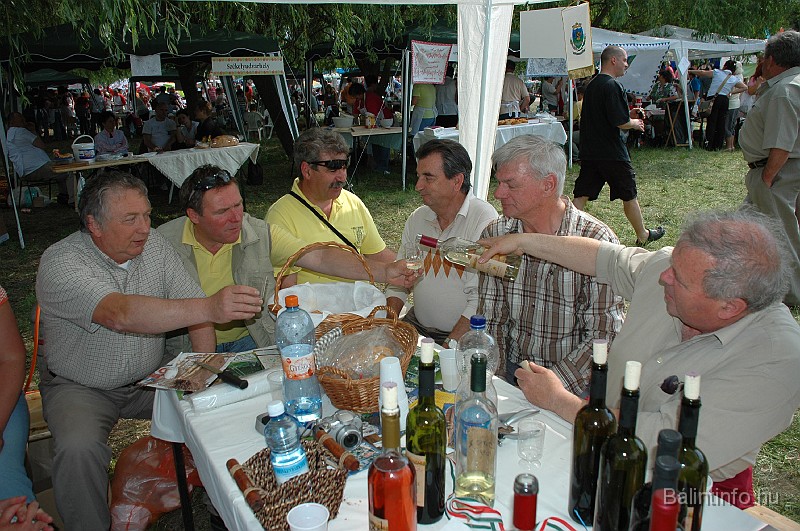 varosi_majalis_2009_0291.jpg