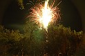 varosi_majalis_2009_0034