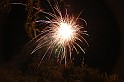 varosi_majalis_2009_0049