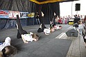 varosi_majalis_2009_0049