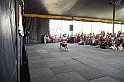 varosi_majalis_2009_0060