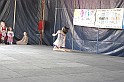varosi_majalis_2009_0077
