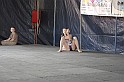 varosi_majalis_2009_0078