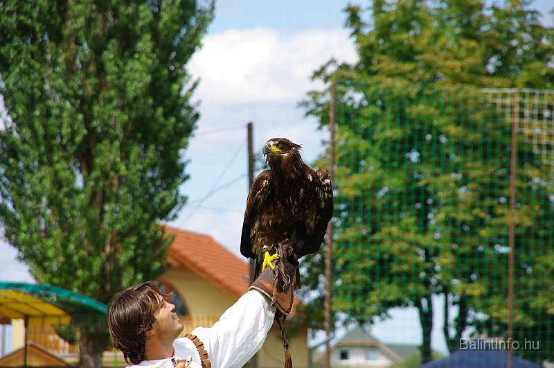 negyedi_meghivas_2009_053.jpg