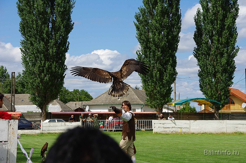 negyedi_meghivas_2009_054.jpg