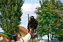 negyedi_meghivas_2009_053