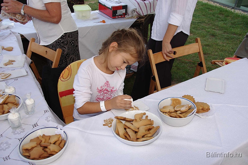 pannonatadas_2009_031.jpg