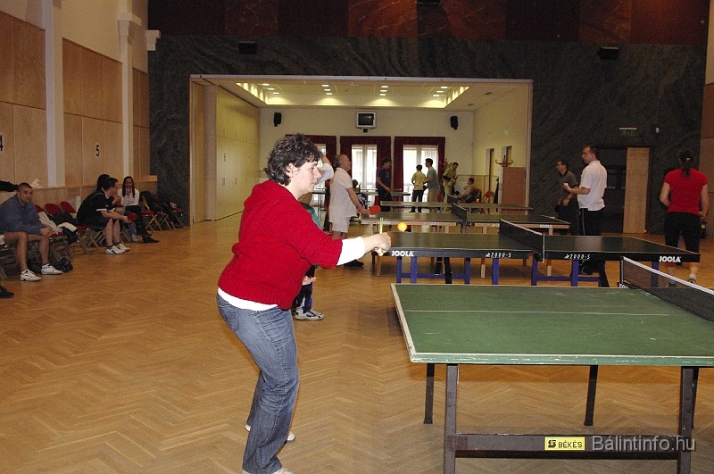pinpongbajnoksag_2009_005.jpg