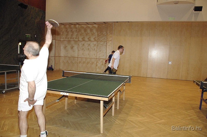 pinpongbajnoksag_2009_006.jpg