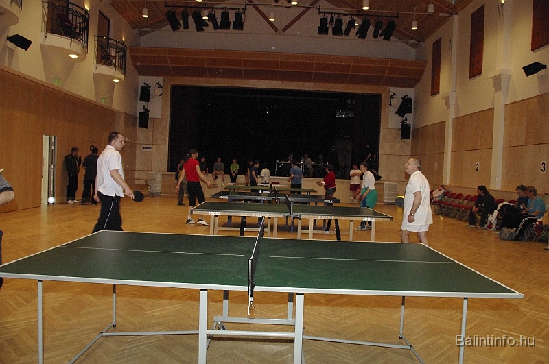 pinpongbajnoksag_2009_008.jpg