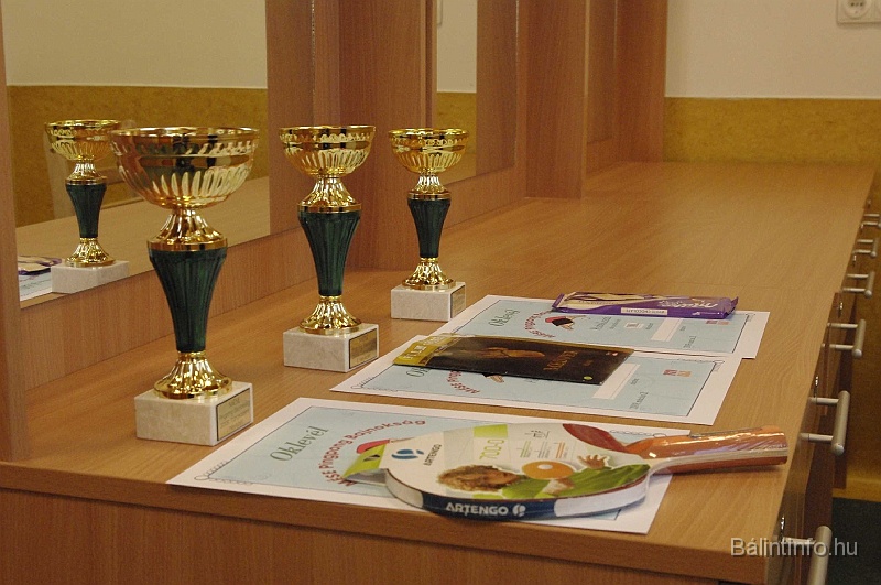 pinpongbajnoksag_2009_040.jpg