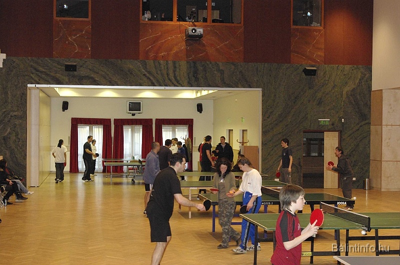 pinpongbajnoksag_2009_041.jpg